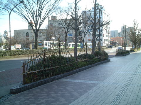 yukikakoi